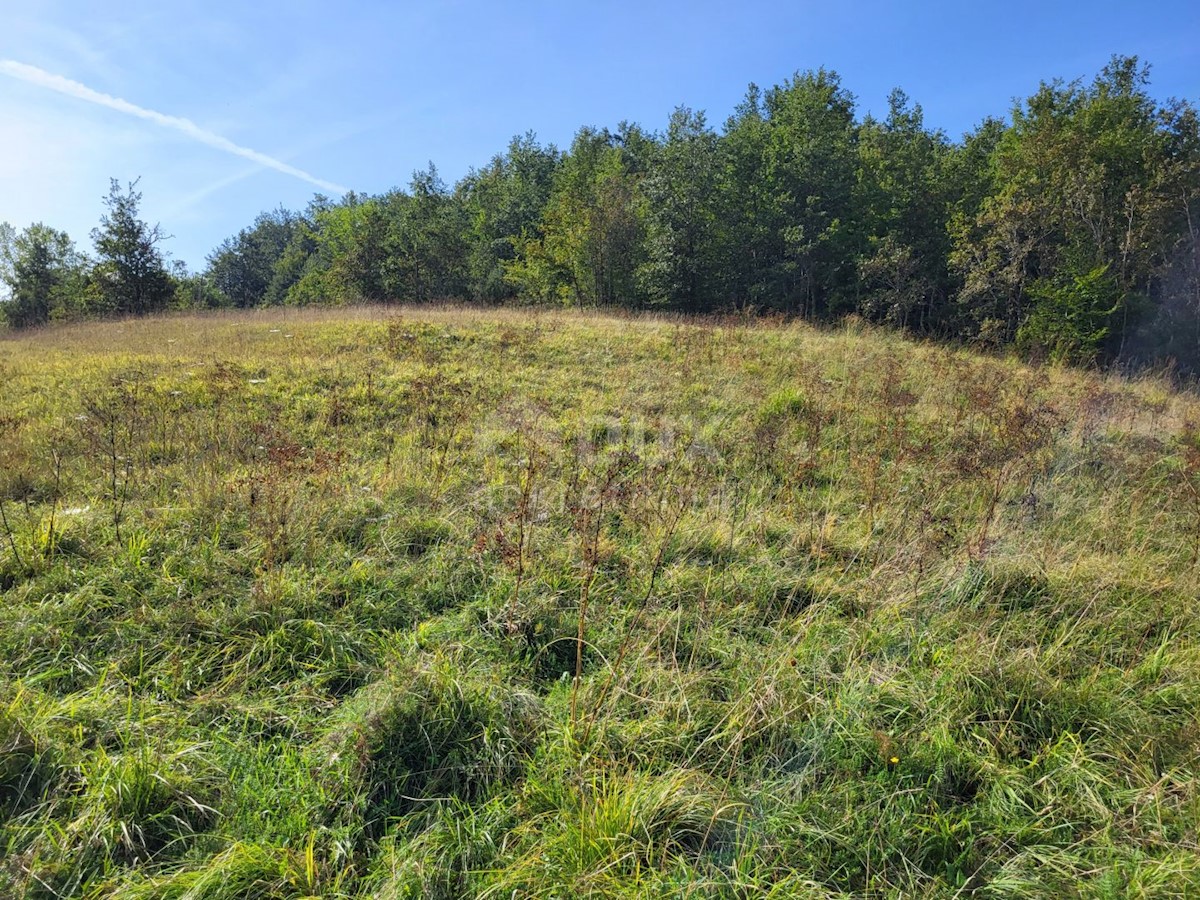 Terreno In vendita - ISTARSKA BUZET