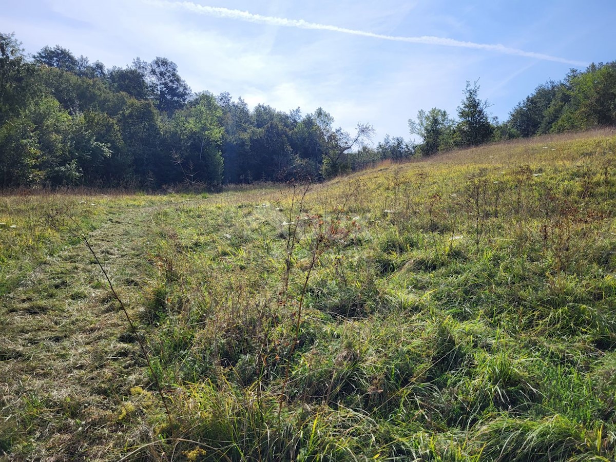 Pozemek Na prodej - ISTARSKA BUZET