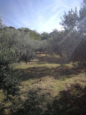 Land for sale 730 m² – Pula