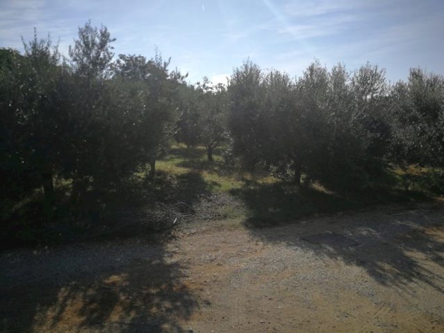 Parcela Naprodaj - Istarska Pula - foto 2/5
