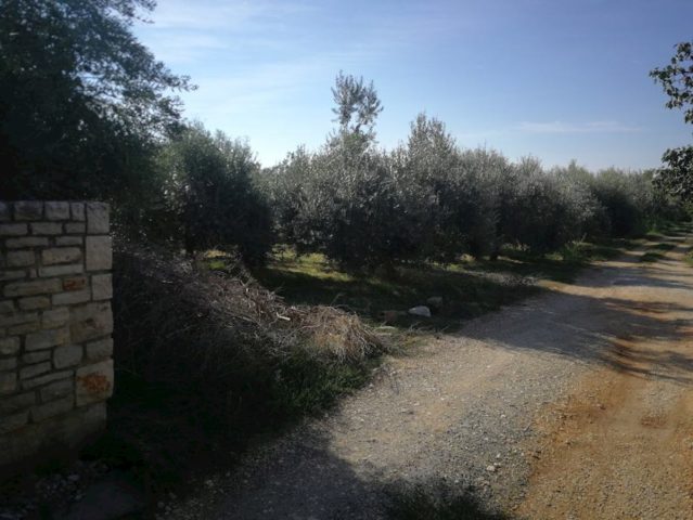 Parcela Naprodaj - Istarska Pula - foto 3/5