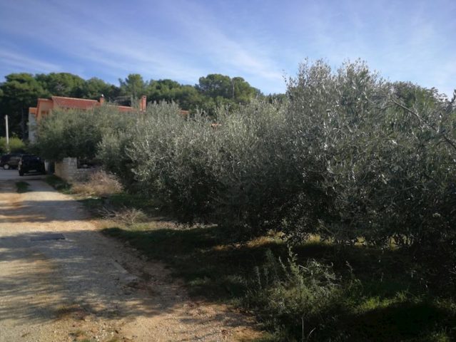 Parcela Naprodaj - Istarska Pula - foto 4/5