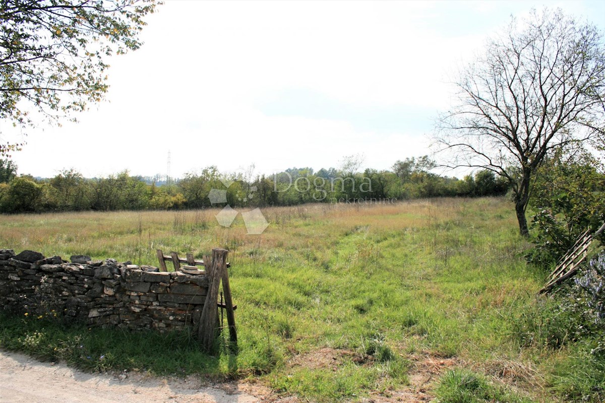 Pozemok Na predaj - ISTARSKA BARBAN