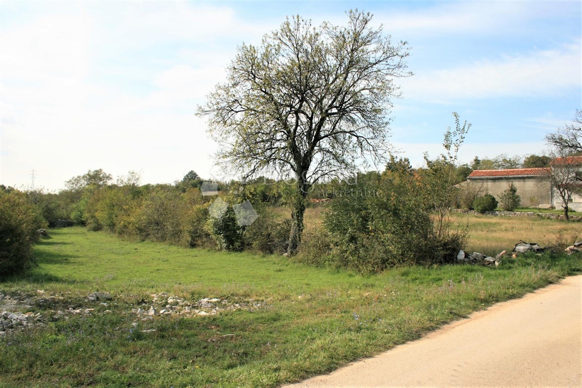 Pozemok Na predaj - ISTARSKA BARBAN