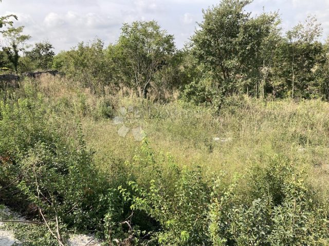 Terreno In vendita - Istarska Svetvinčenat - foto 3/4