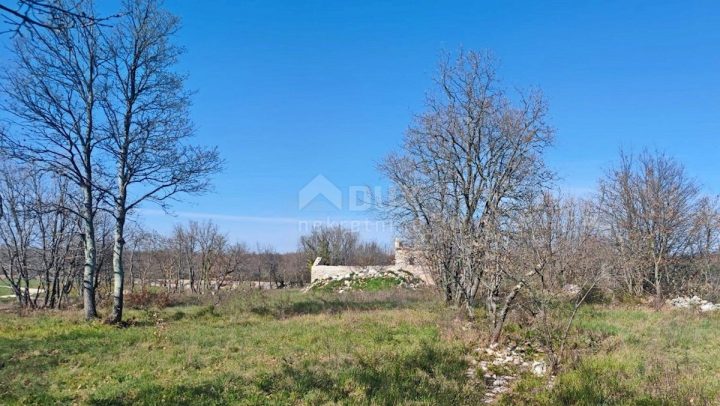 Land For sale - Istarska Svetvinčenat - foto 2/5