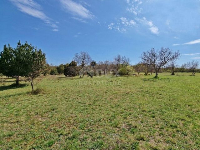 Land For sale - Istarska Svetvinčenat - foto 4/5