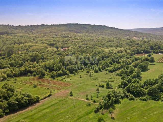 Land For sale - Istarska Svetvinčenat - foto 5/5