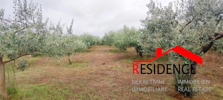 Terrain à vendre 3579 m² – Pomer