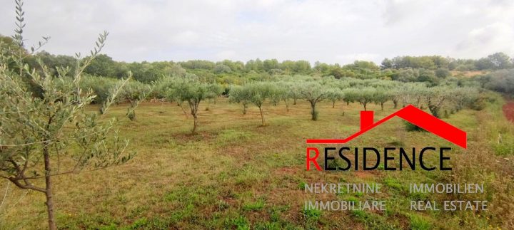 Land For sale - Istarska Medulin - foto 2/6
