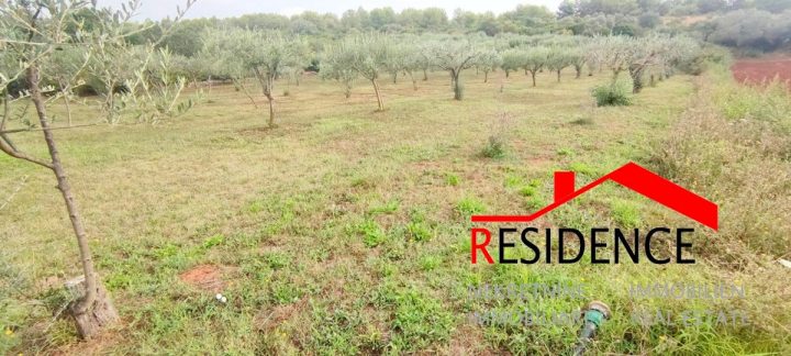 Land For sale - Istarska Medulin - foto 4/6