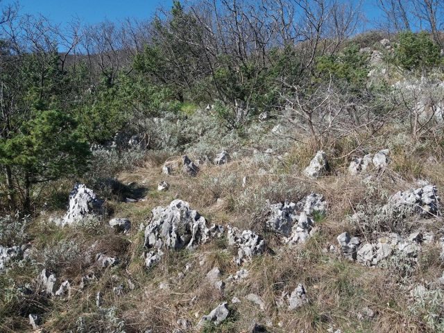 Parcela Naprodaj - Primorsko-goranska Mošćenička Draga - foto 3/3