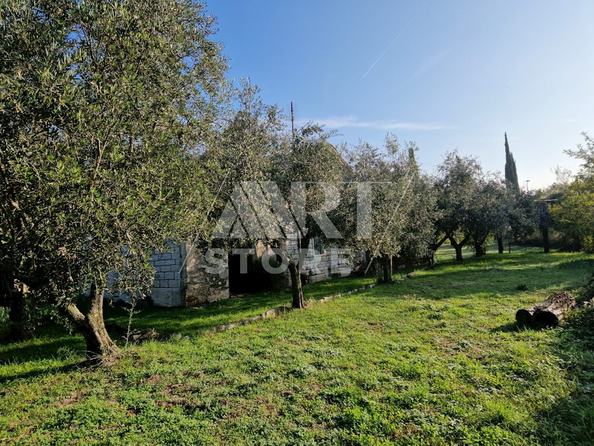 Casa In vendita - ISTARSKA UMAG