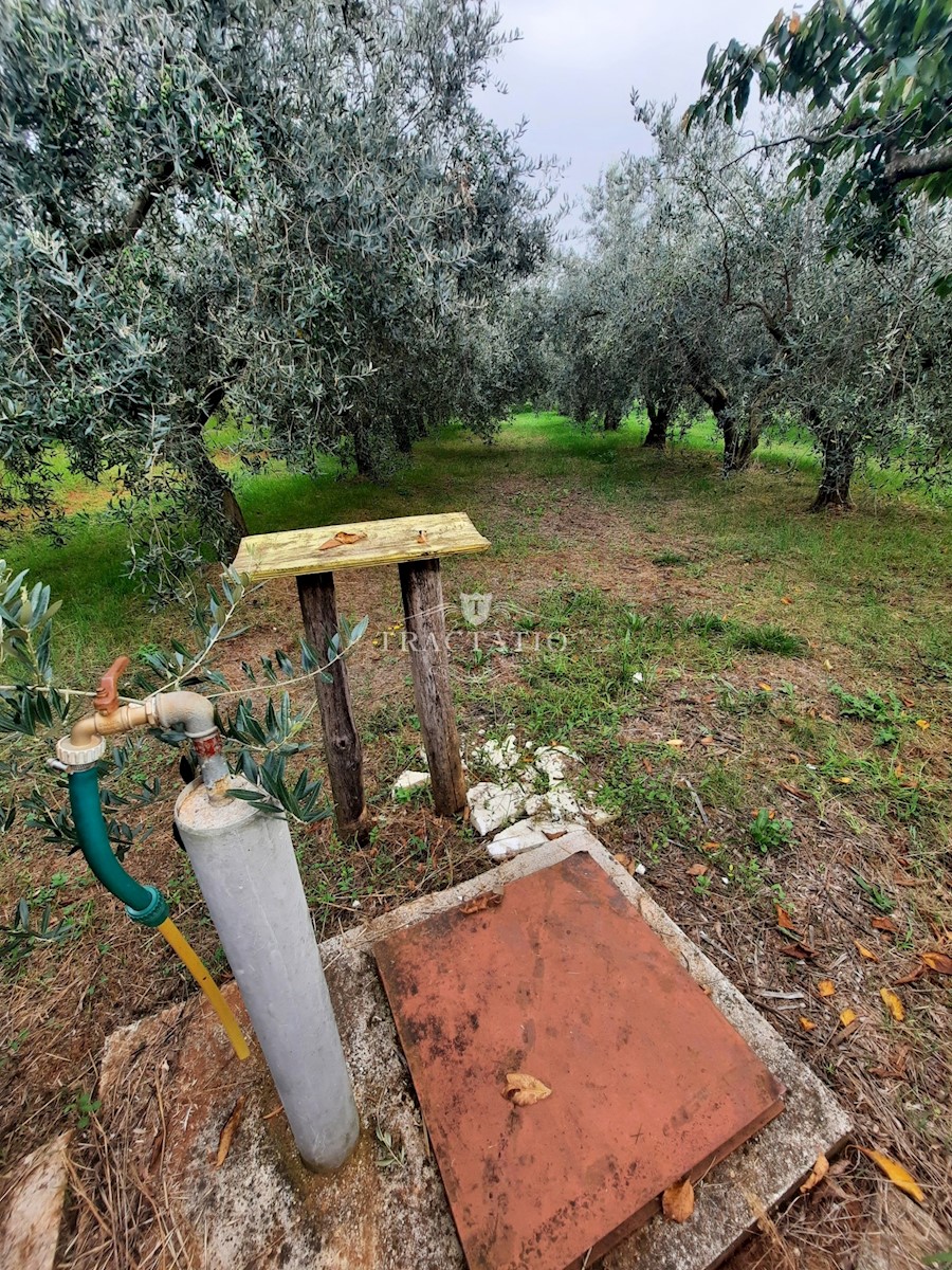 Zemljište Na prodaju - ISTARSKA NOVIGRAD