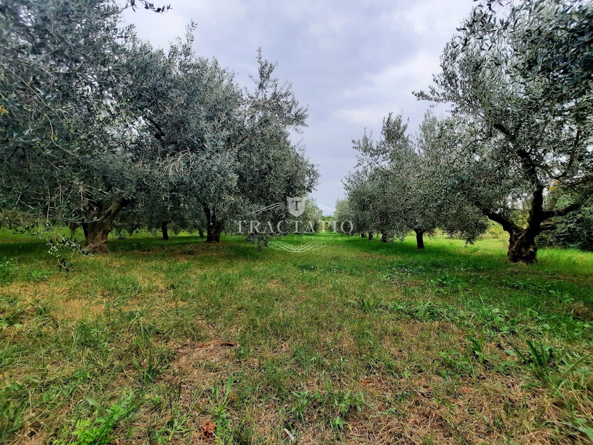 Zemljište Na prodaju - ISTARSKA NOVIGRAD