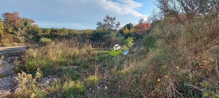 Land for sale 1491 m² – Žminj