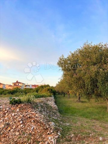 Land For sale - Istarska Vodnjan - foto 5/5