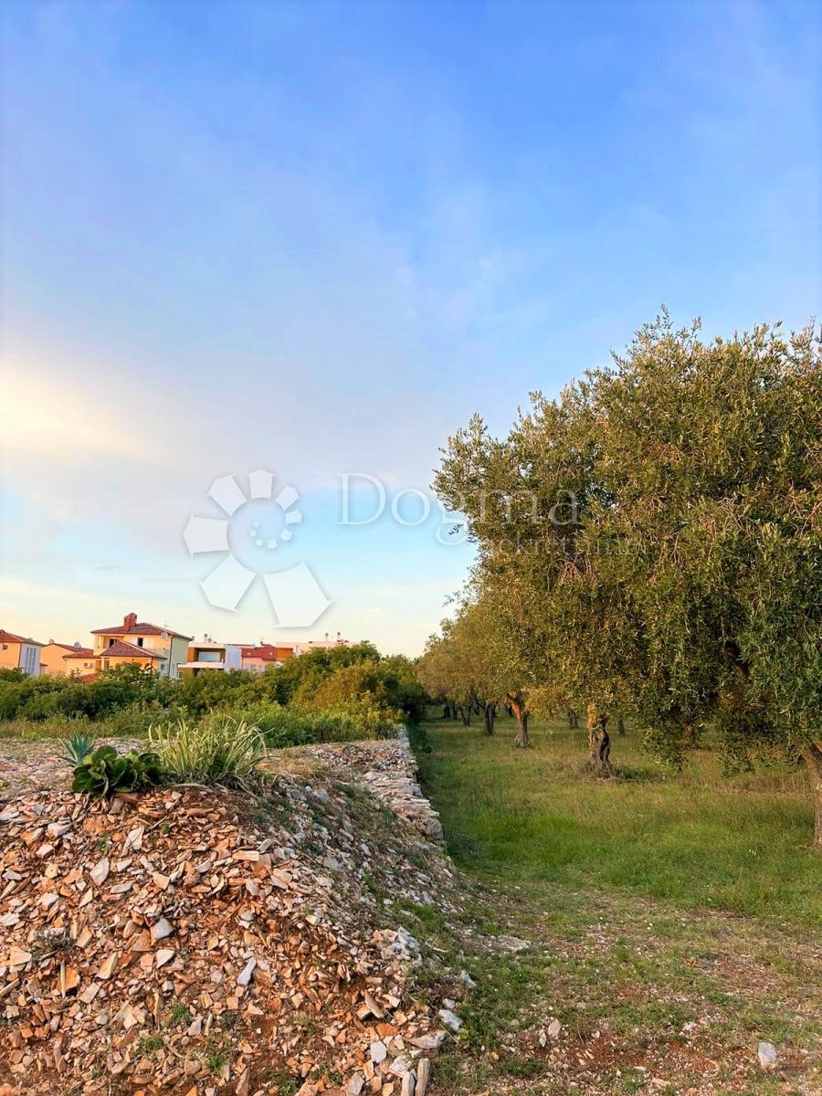 Land For sale - ISTARSKA Vodnjan