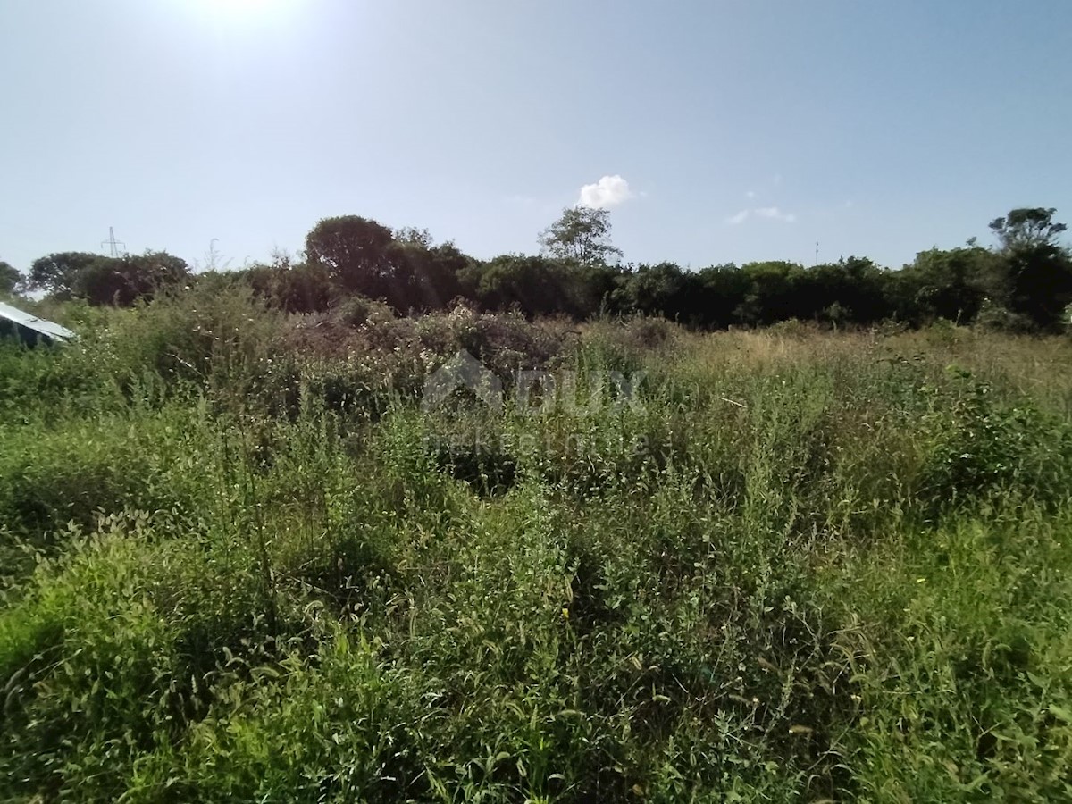 Land For sale PULA