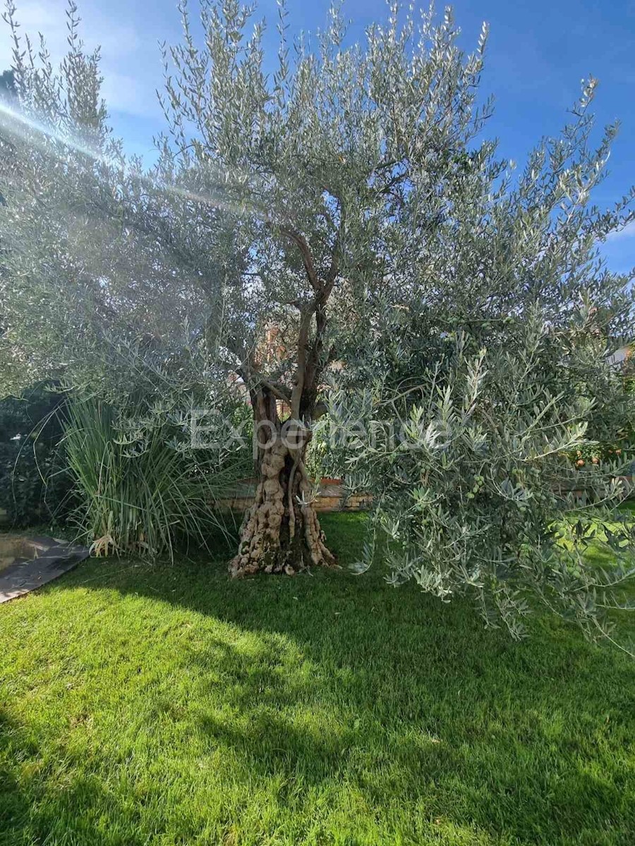 Dom Na predaj - ISTARSKA POREČ