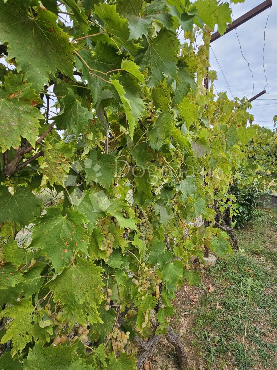 Dom Na predaj - ZADARSKA SVETI FILIP I JAKOV