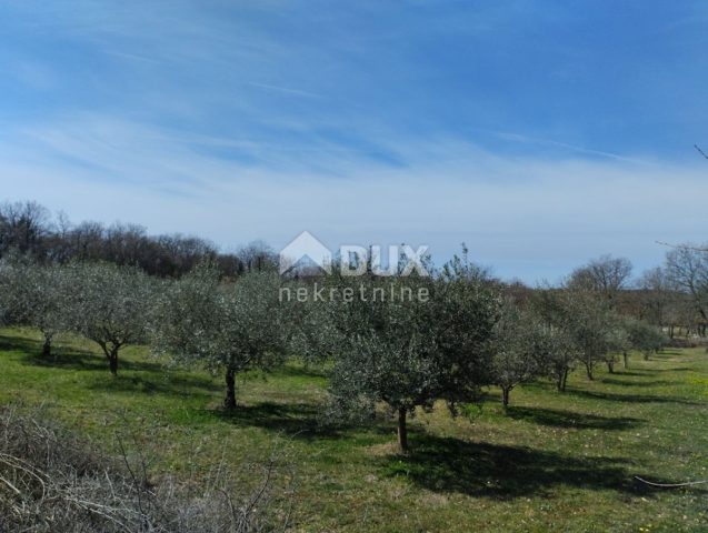 Terreno in vendita 6680 m² – Valtura