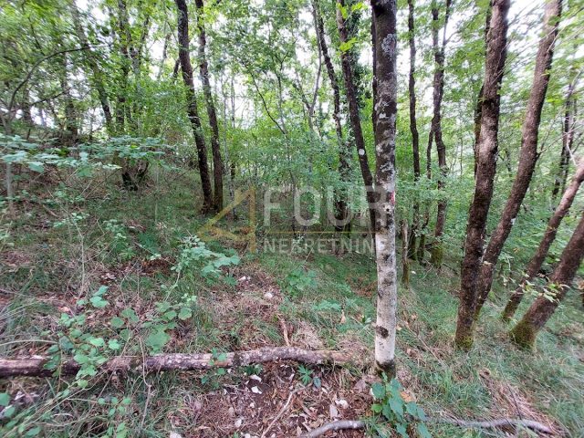 Parcela na predaj 4013 m² – Veprinac