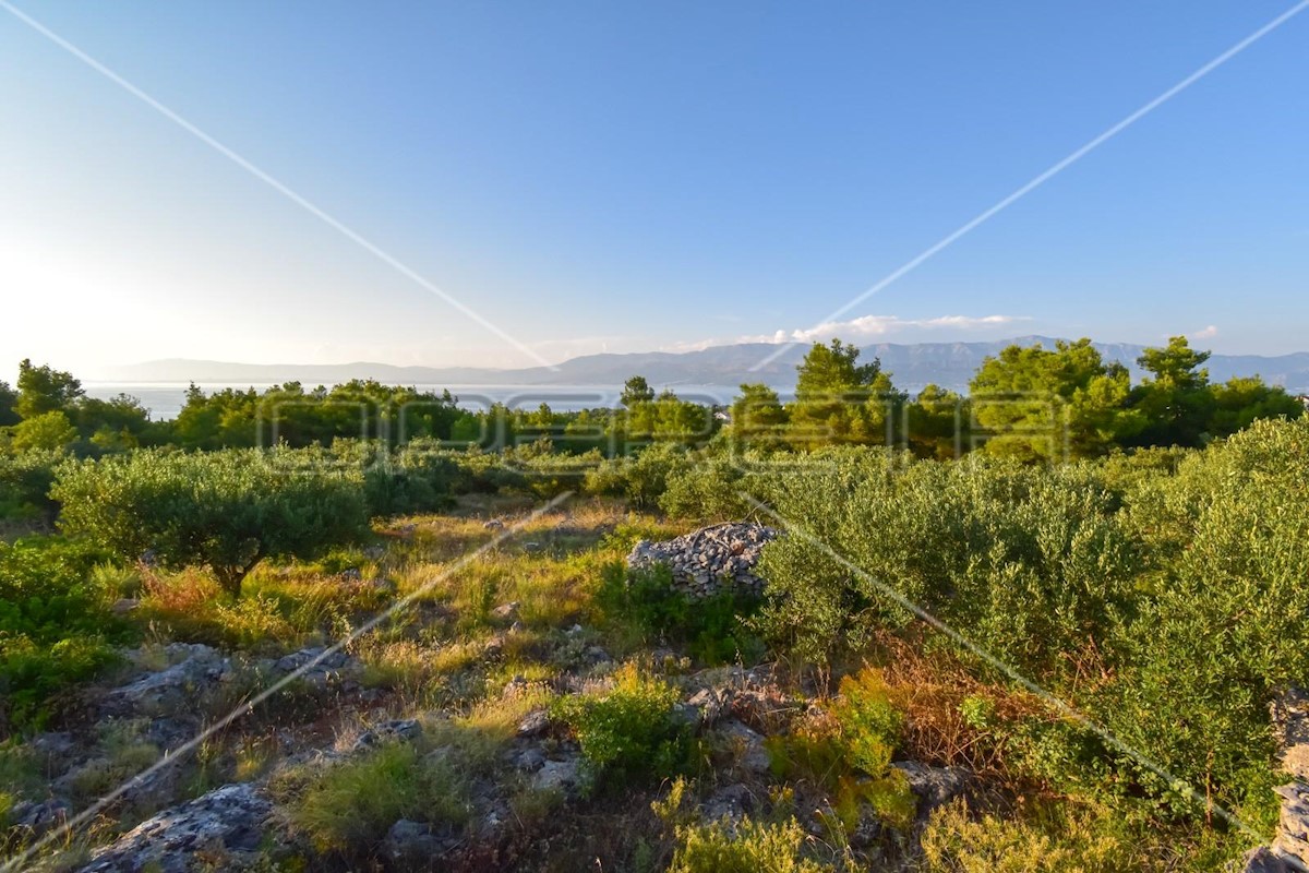 Land For sale - SPLITSKO-DALMATINSKA BRAČ