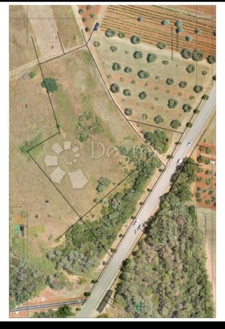 Land for sale 6070 m² – Umag