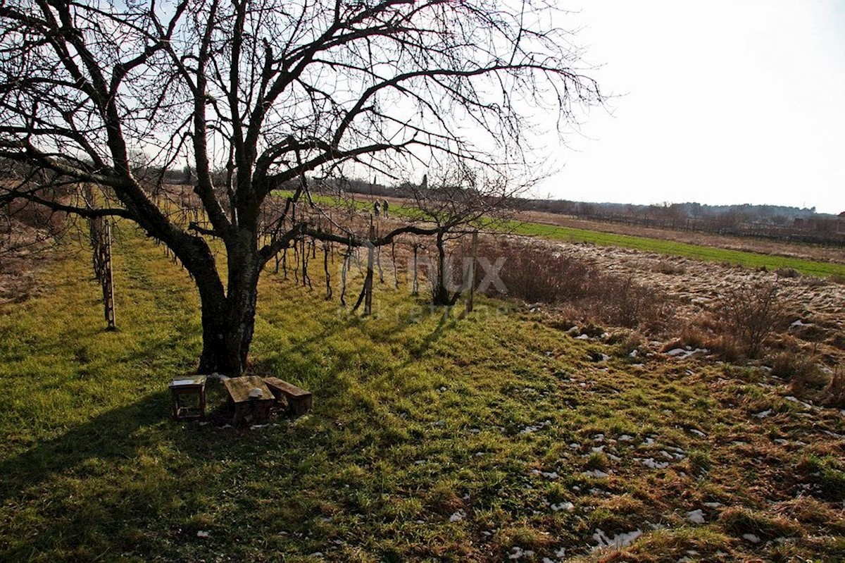 Land For sale VODNJAN