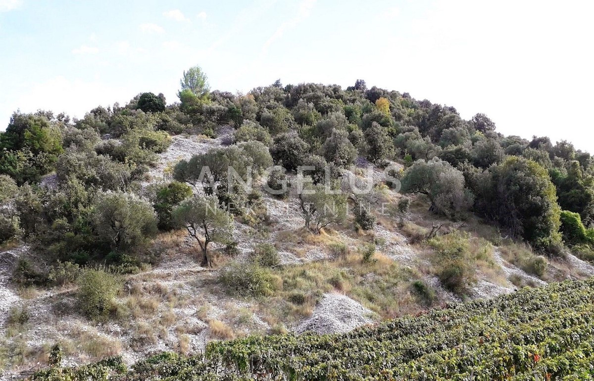 Terreno In vendita - SPLITSKO-DALMATINSKA BRAČ