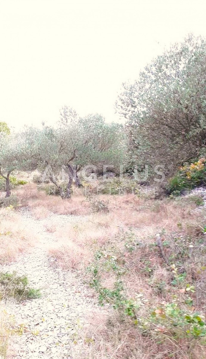 Land For sale - SPLITSKO-DALMATINSKA BRAČ