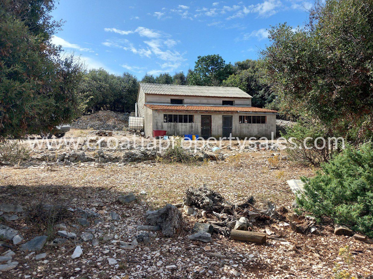 Land For sale - SPLITSKO-DALMATINSKA BRAČ