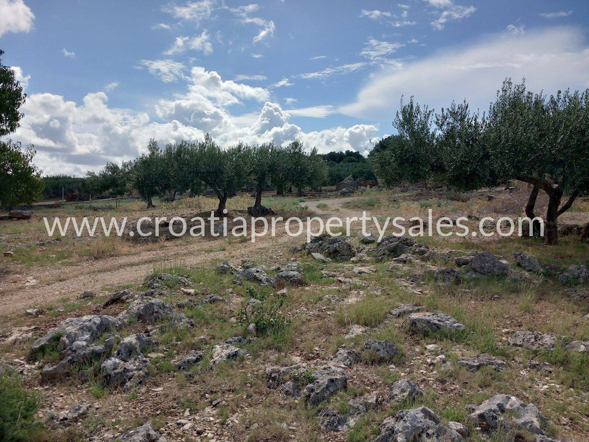 Land For sale - SPLITSKO-DALMATINSKA BRAČ