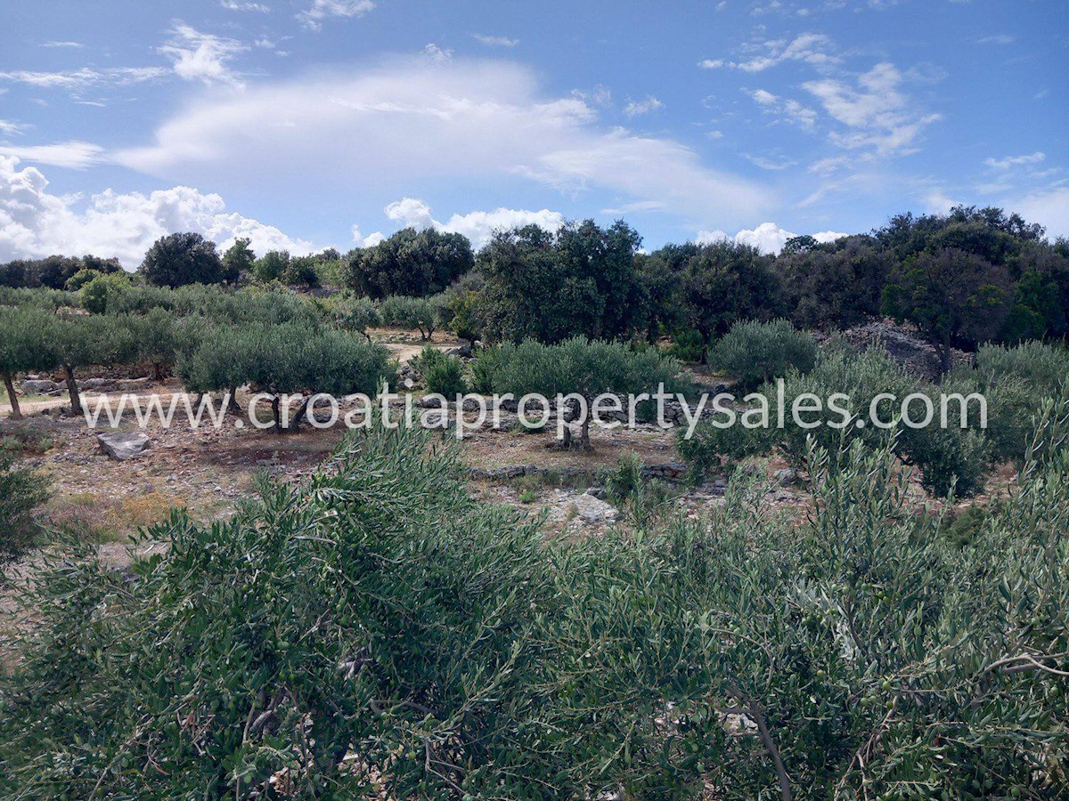 Land For sale - SPLITSKO-DALMATINSKA BRAČ