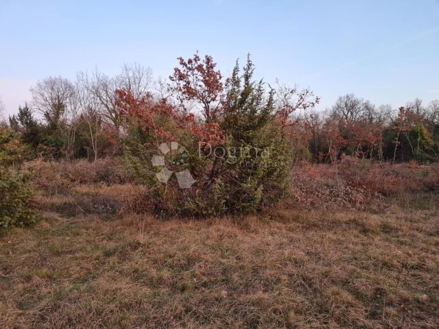 Pozemek na prodej 5665 m² – Juršići