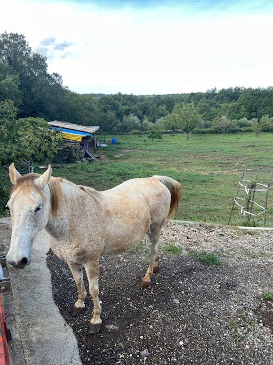 Kuća Na prodaju - ISTARSKA BARBAN