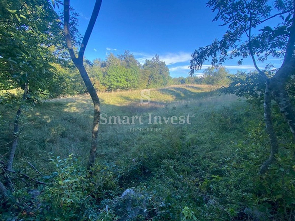 Land For sale - Primorsko-goranska Viškovo - foto 1/5