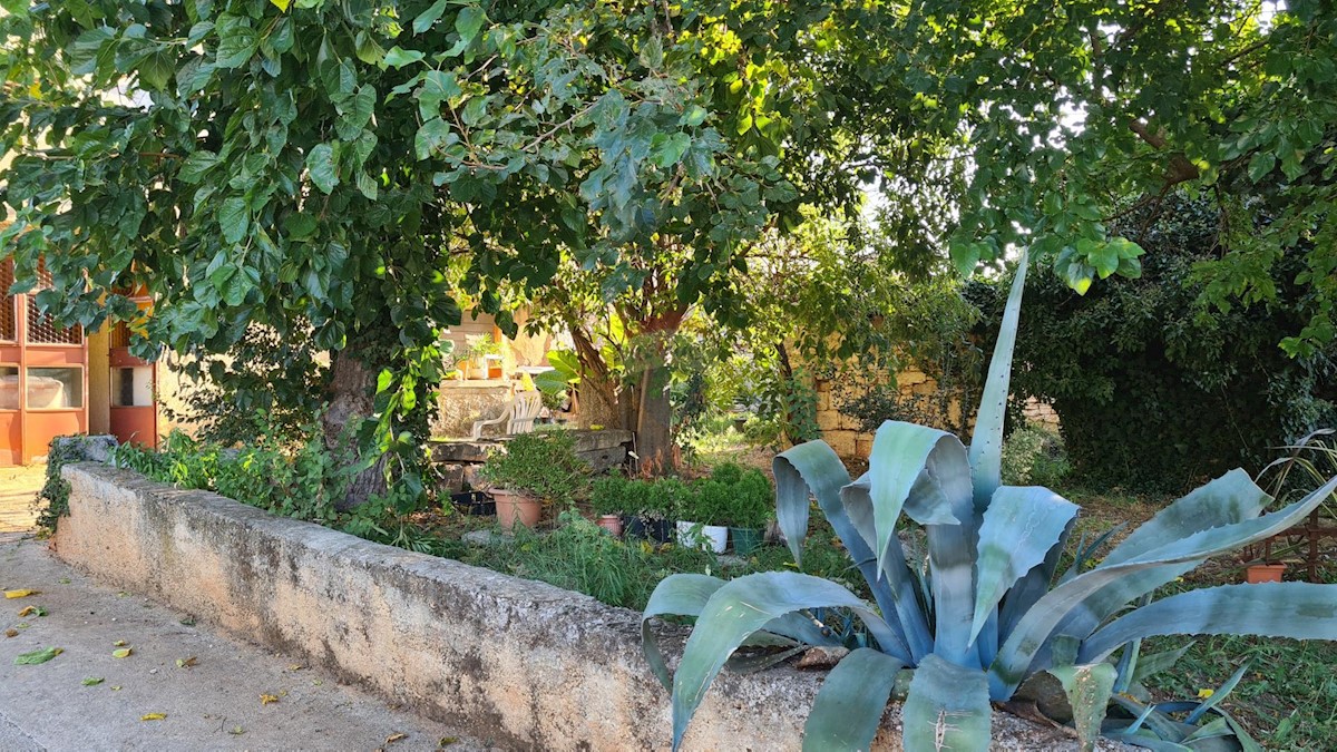 Casa In vendita - ISTARSKA Kaštelir