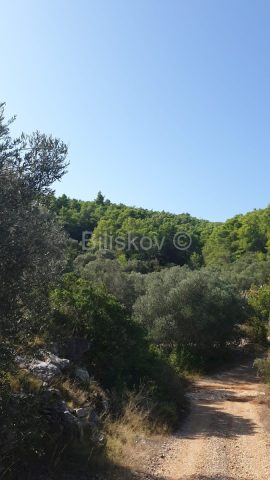 Parcela Naprodaj - Dubrovačko-neretvanska Korčula - foto 2/13