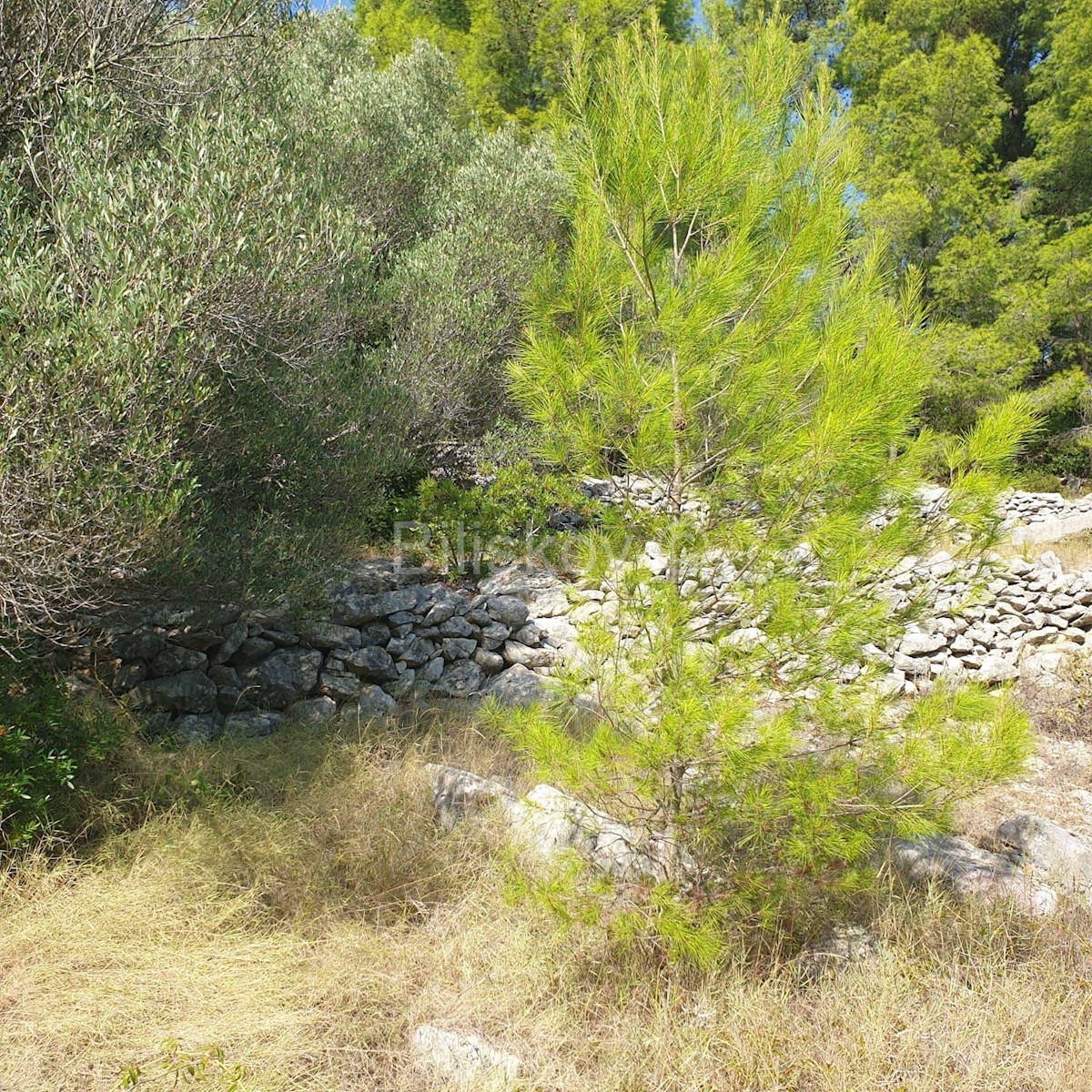 Działka Na sprzedaż - DUBROVAČKO-NERETVANSKA KORČULA