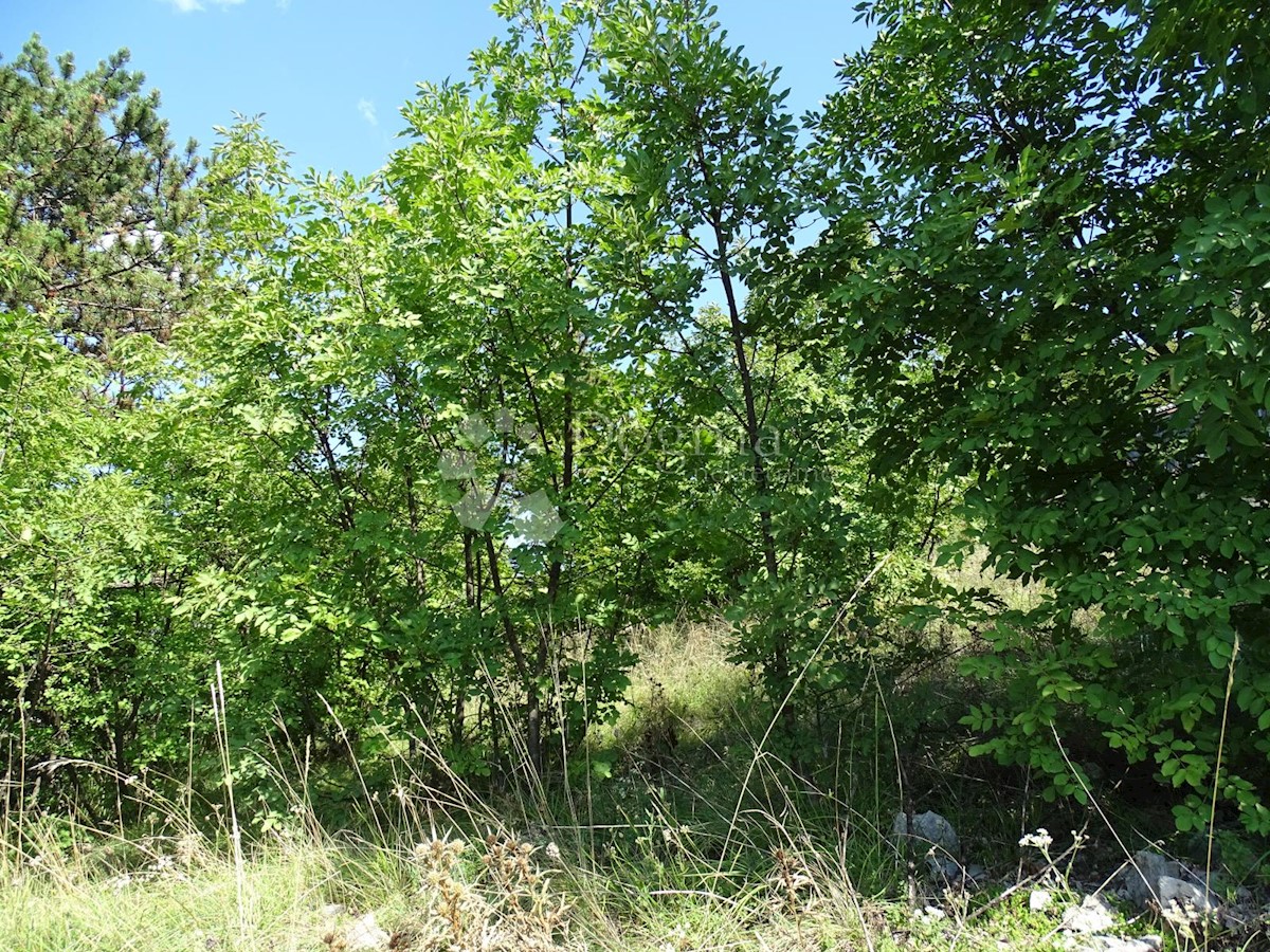 Terreno In vendita - PRIMORSKO-GORANSKA ČAVLE