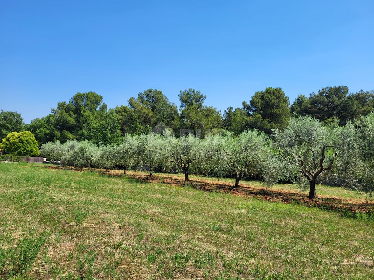 Terreno In vendita - ISTARSKA VIŠNJAN