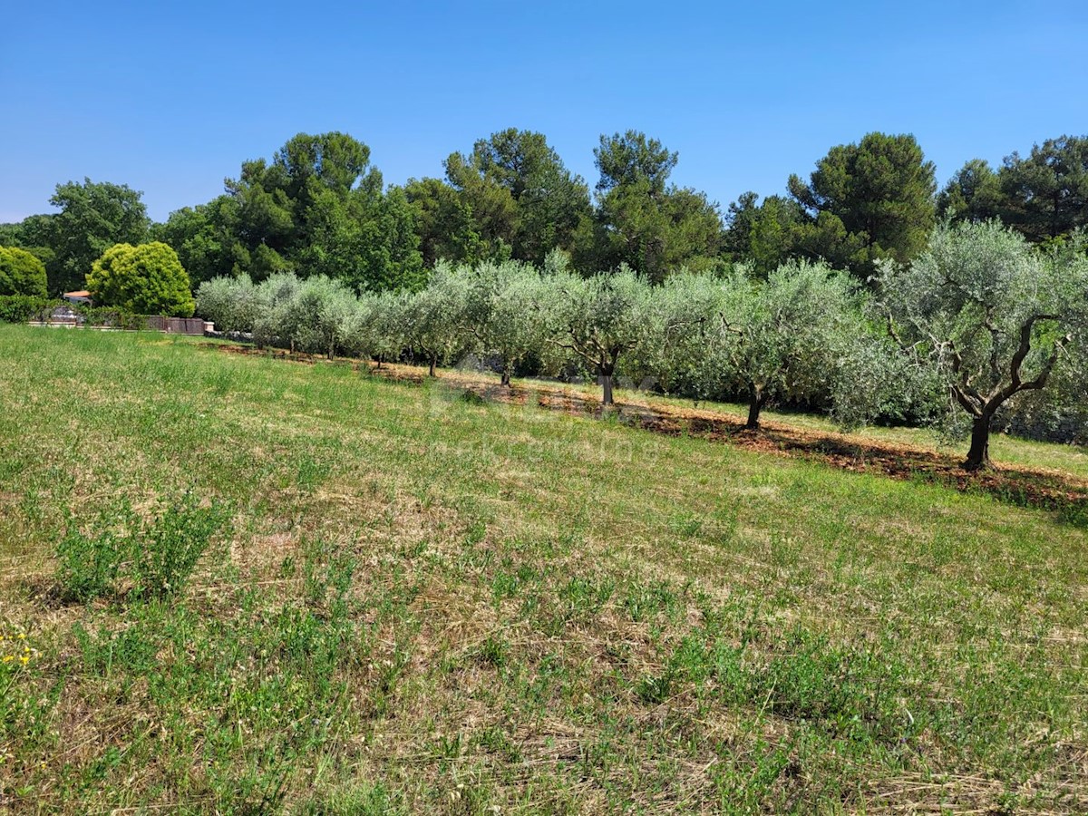 Terreno In vendita - ISTARSKA VIŠNJAN