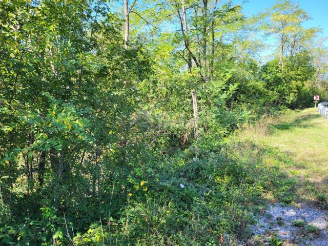 Terrain à vendre 2345 m² – Buzet