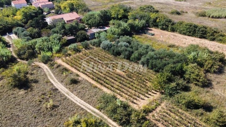 Kuća Na prodaju - Zadarska Privlaka - foto 3/14