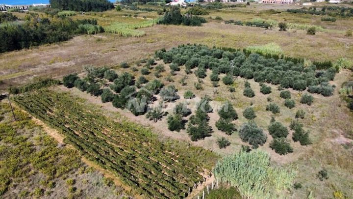 Land for sale 2003 m² – Privlaka