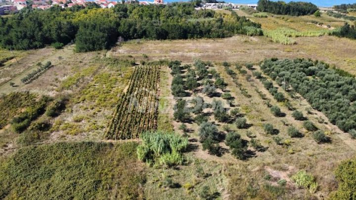 Terreno In vendita - Zadarska Privlaka - foto 3/8