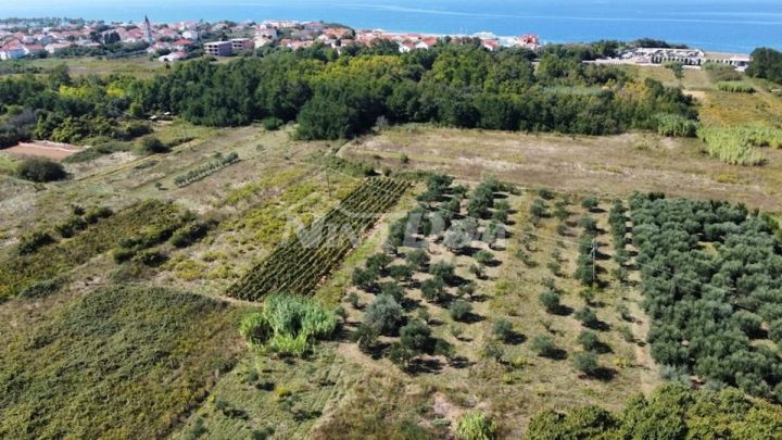Terreno In vendita - Zadarska Privlaka - foto 4/8