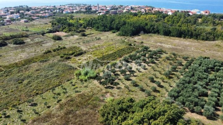 Terreno In vendita - Zadarska Privlaka - foto 5/8